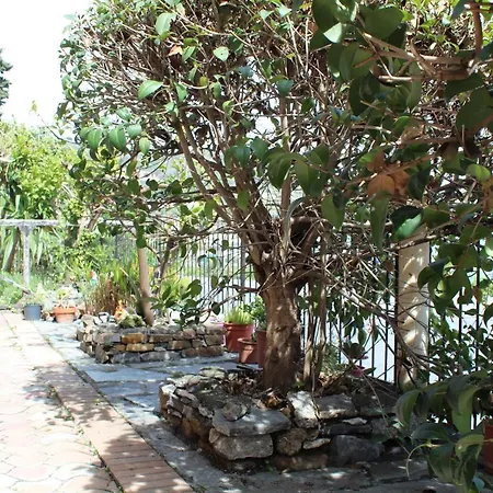 Froggy House בית נופש